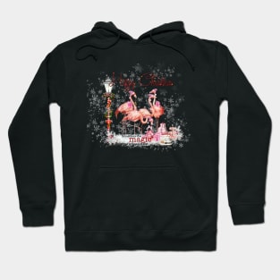 The Magic Of Christmas Flamingos Hoodie